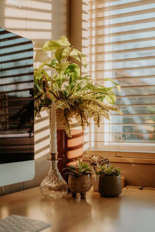 Tips for Creating a Cozy and Functional Home Office Space